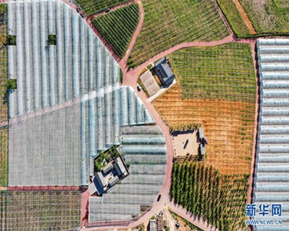 《延津县农业现代化示范区建设总体规划（2022-2030年）》初期沟通汇报顺利完成