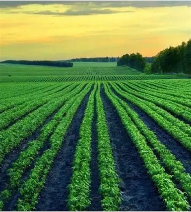 无人农场：代表未来农业趋势，扛鼎智慧农业模式 