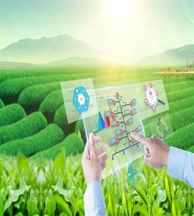 大数据时代人工智能技术在农业领域的应用